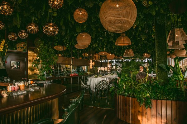 7 Salades Gourmandes et Légères pour un Déjeuner Savoureux et Sain